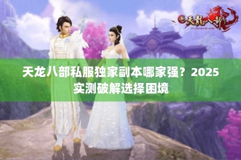 天龙八部私服独家副本哪家强？2025实测破解选择困境
