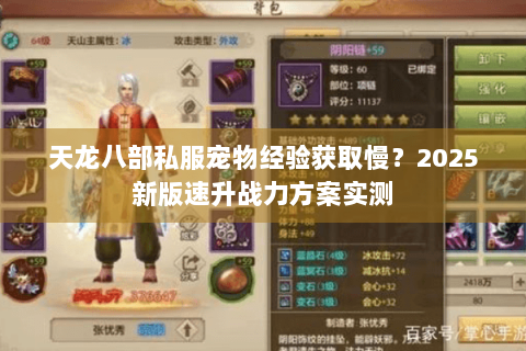 天龙八部私服宠物经验获取慢？2025新版速升战力方案实测