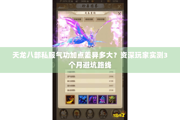 天龙八部私服气功加点差异多大？资深玩家实测3个月避坑路线