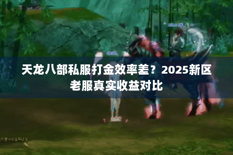 天龙八部私服打金效率差？2025新区老服真实收益对比