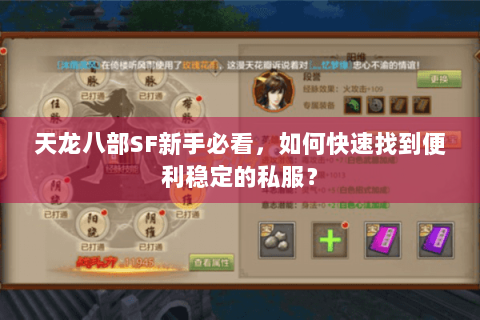 天龙八部SF新手必看，如何快速找到便利稳定的私服？