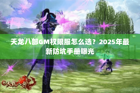 天龙八部GM权限服怎么选？2025年最新防坑手册曝光