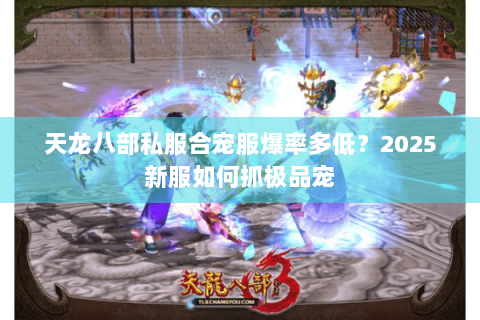 天龙八部私服合宠服爆率多低？2025新服如何抓极品宠