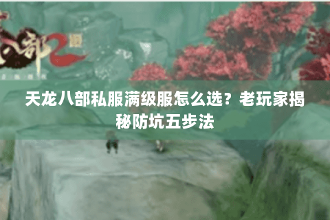 天龙八部私服满级服怎么选?老玩家揭秘防坑五步法 天龙八部私服满级服怎么选?老玩家揭秘防坑五步法