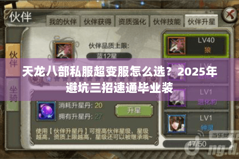天龙八部私服超变服怎么选？2025年避坑三招速通毕业装