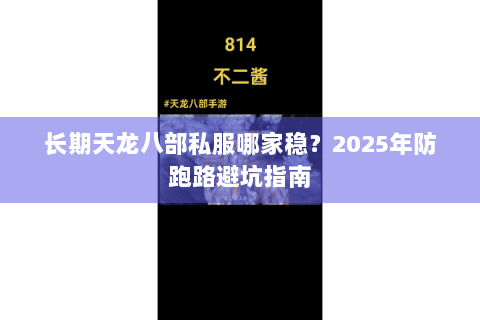 长期天龙八部私服哪家稳？2025年防跑路避坑指南