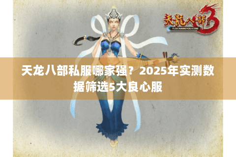 天龙八部私服哪家强？2025年实测数据筛选5大良心服