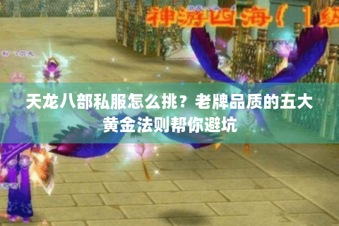 天龙八部私服怎么挑？老牌品质的五大黄金法则帮你避坑