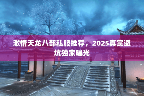 激情天龙八部私服推荐，2025真实避坑独家曝光