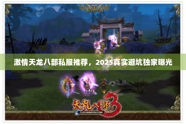 激情天龙八部私服推荐，2025真实避坑独家曝光