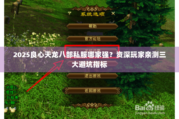 2025良心天龙八部私服哪家强？资深玩家亲测三大避坑指标