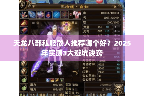 天龙八部私服散人推荐哪个好？2025年实测3大避坑诀窍