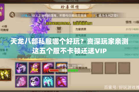 天龙八部私服哪个好玩？资深玩家亲测这五个服不卡顿还送VIP