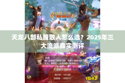天龙八部私服散人怎么选？2025年三大流派真实测评
