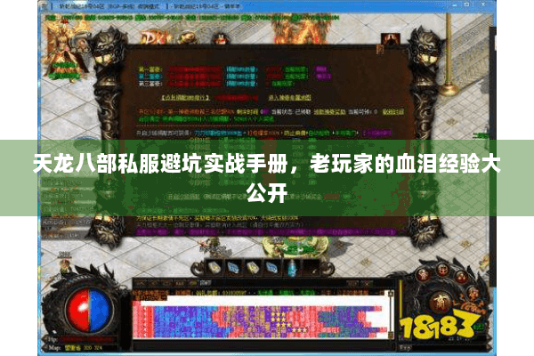 天龙八部私服避坑实战手册，老玩家的血泪经验大公开