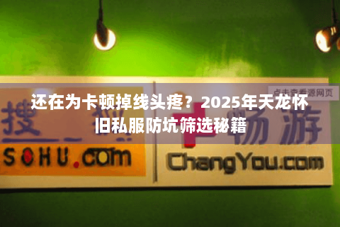还在为卡顿掉线头疼？2025年天龙怀旧私服防坑筛选秘籍