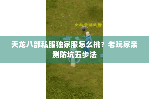 天龙八部私服独家服怎么挑？老玩家亲测防坑五步法