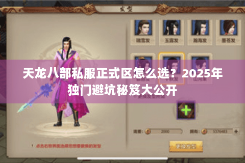 天龙八部私服正式区怎么选？2025年独门避坑秘笈大公开