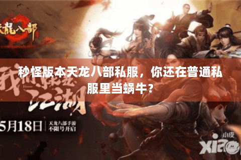 秒怪版本天龙八部私服，你还在普通私服里当蜗牛？