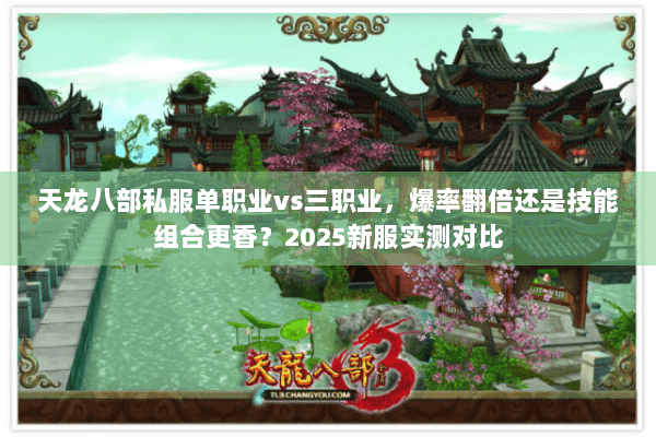 天龙八部私服单职业vs三职业，爆率翻倍还是技能组合更香？2025新服实测对比