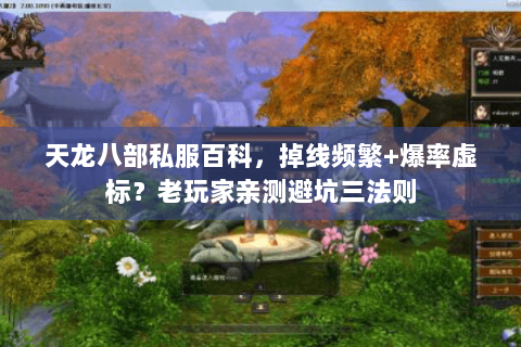 天龙八部私服百科，掉线频繁+爆率虚标？老玩家亲测避坑三法则