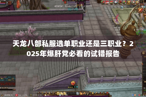 天龙八部私服选单职业还是三职业？2025年爆肝党必看的试错报告
