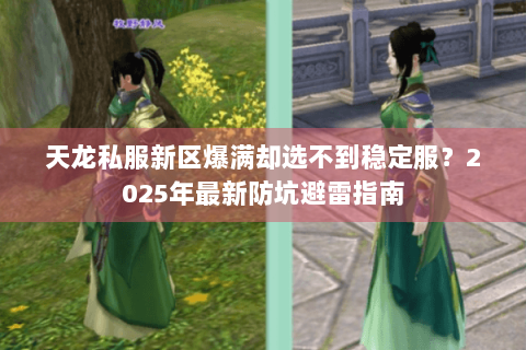 天龙私服新区爆满却选不到稳定服？2025年最新防坑避雷指南