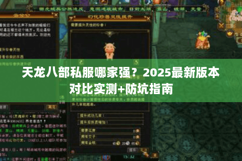 天龙八部私服哪家强？2025最新版本对比实测+防坑指南