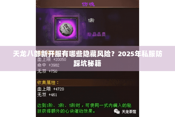 天龙八部新开服有哪些隐藏风险？2025年私服防踩坑秘籍