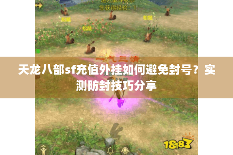 天龙八部sf充值外挂如何避免封号？实测防封技巧分享