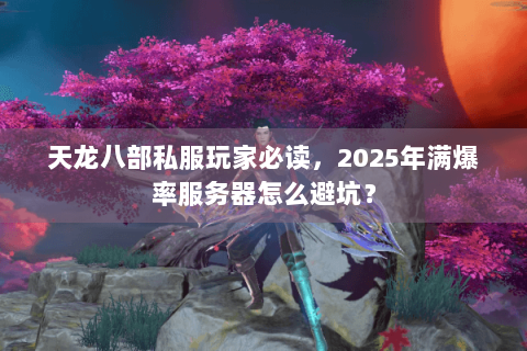 天龙八部私服玩家必读，2025年满爆率服务器怎么避坑？