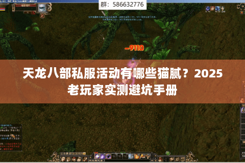 天龙八部私服活动有哪些猫腻？2025老玩家实测避坑手册