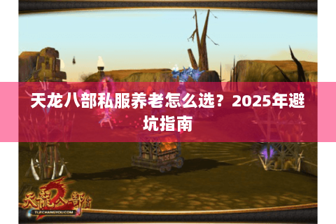 天龙八部私服养老怎么选？2025年避坑指南