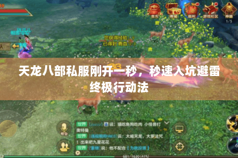 天龙八部私服刚开一秒，秒速入坑避雷终极行动法