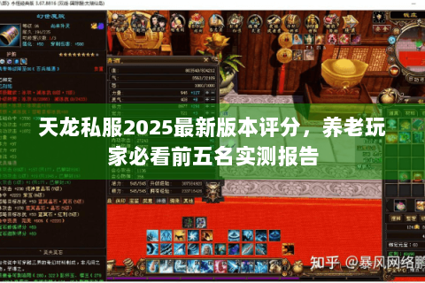 天龙私服2025最新版本评分，养老玩家必看前五名实测报告