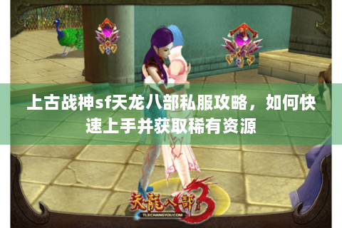 上古战神sf天龙八部私服攻略，如何快速上手并获取稀有资源