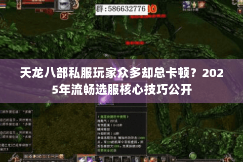 天龙八部私服玩家众多却总卡顿？2025年流畅选服核心技巧公开