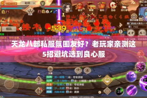 天龙八部私服氛围友好？老玩家亲测这5招避坑选到良心服