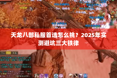 天龙八部私服首选怎么挑？2025年实测避坑三大铁律