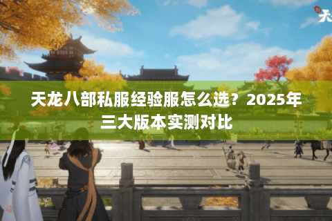 天龙八部私服经验服怎么选？2025年三大版本实测对比
