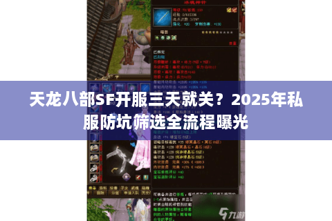天龙八部SF开服三天就关？2025年私服防坑筛选全流程曝光
