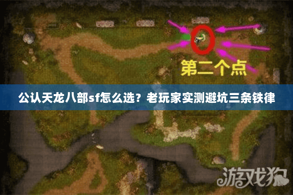 公认天龙八部sf怎么选？老玩家实测避坑三条铁律