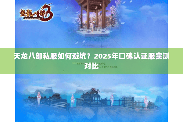 天龙八部私服如何避坑?2025年口碑认证服实测对比 天龙八部私服如何避坑?2025年口碑认证服实测对比