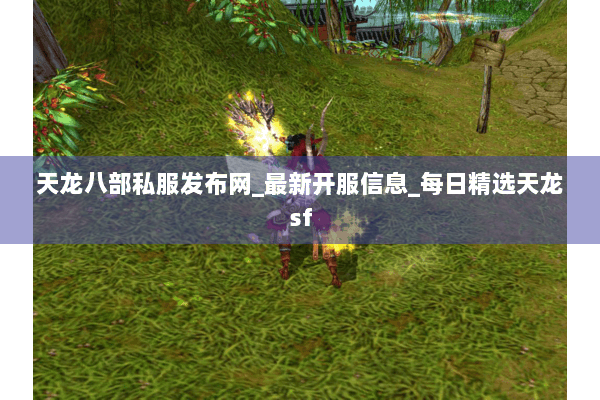 天龙八部私服发布网_最新开服信息_每日精选天龙sf