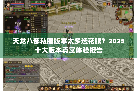 天龙八部私服版本太多选花眼？2025十大版本真实体验报告
