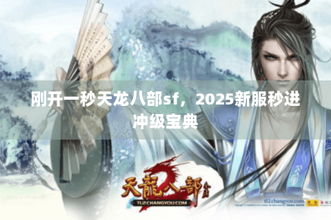 刚开一秒天龙八部sf，2025新服秒进冲级宝典