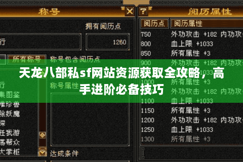 天龙八部私sf网站资源获取全攻略，高手进阶必备技巧