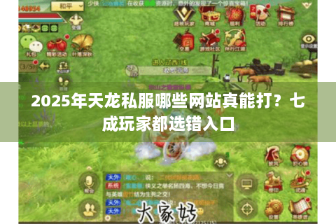 2025年天龙私服哪些网站真能打？七成玩家都选错入口