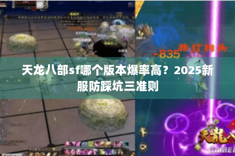 天龙八部sf哪个版本爆率高？2025新服防踩坑三准则