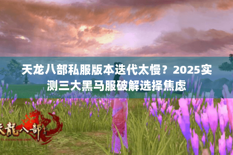天龙八部私服版本迭代太慢？2025实测三大黑马服破解选择焦虑